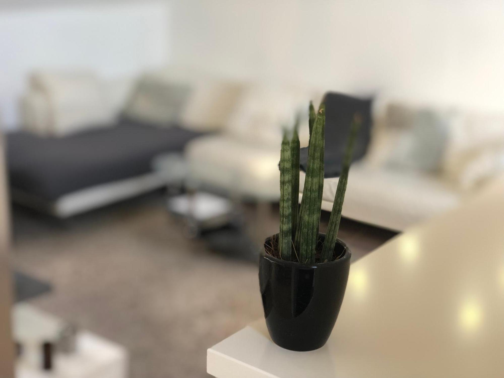 Caleva'S Bnb 普福尔茨海姆 外观 照片