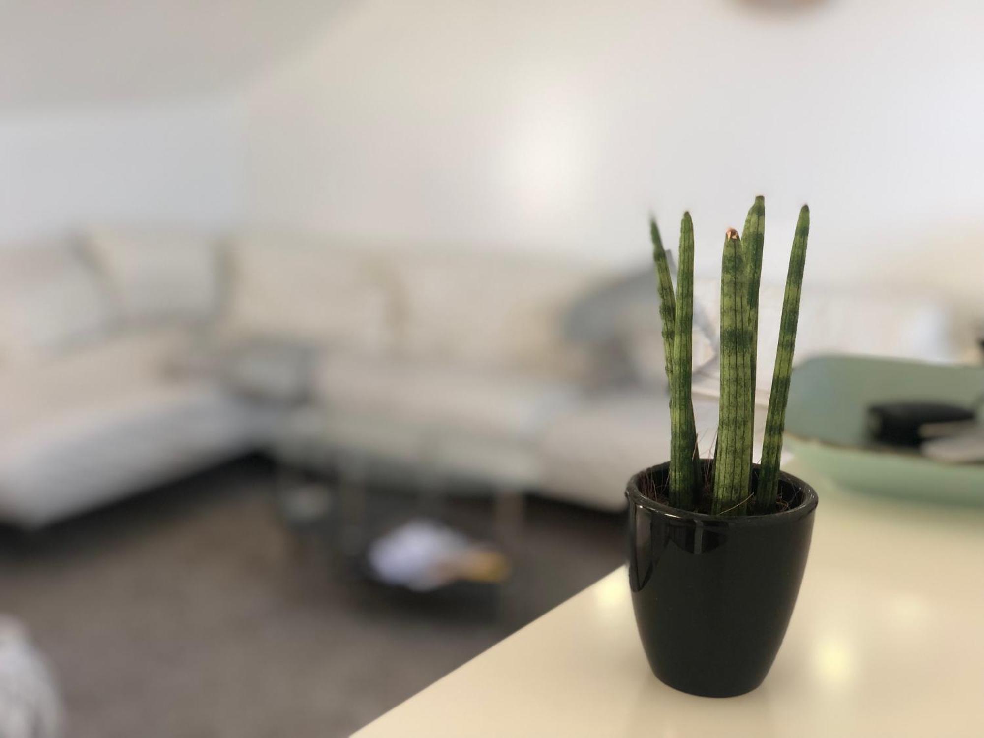 Caleva'S Bnb 普福尔茨海姆 外观 照片