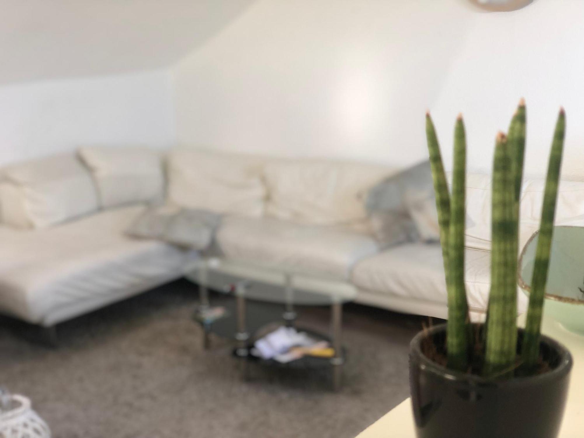 Caleva'S Bnb 普福尔茨海姆 外观 照片